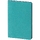 Ежедневник Neat Mini, недатированный, бирюзовый