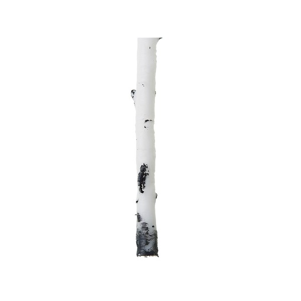 OA-21043