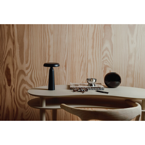 XI-V5130401